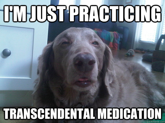 im just practicing transcendental medication - 10 Dog