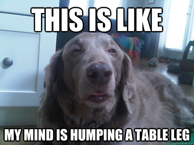this is like my mind is humping a table leg - 10 Dog