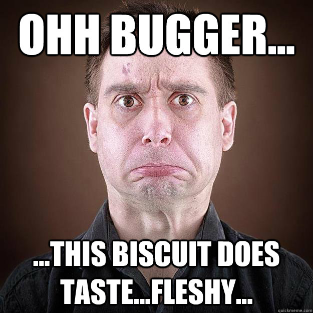 ohh bugger this biscuit does tastefleshy - Holly Biscuit