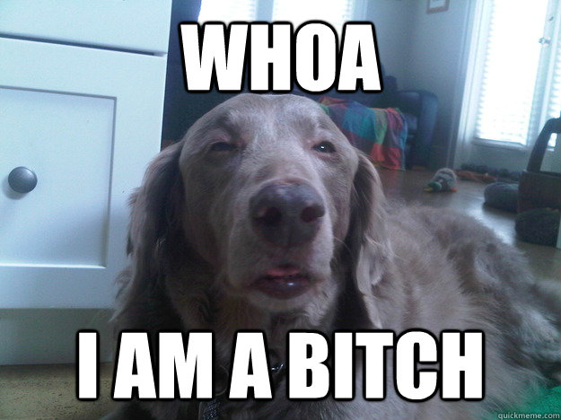 whoa i am a bitch - 10 Dog