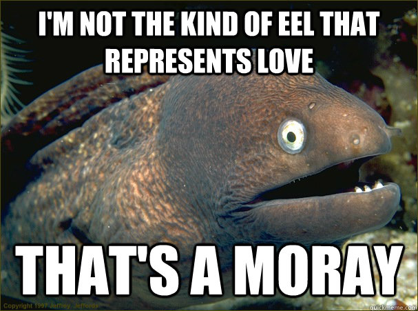 im not the kind of eel that represents love thats a moray - Bad Joke Eel