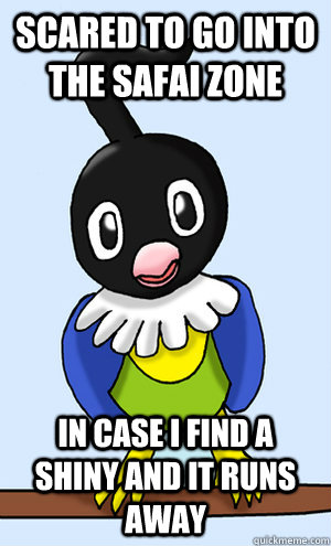 scared to go into the safai zone in case i find a shiny and - Paranoid Chatot