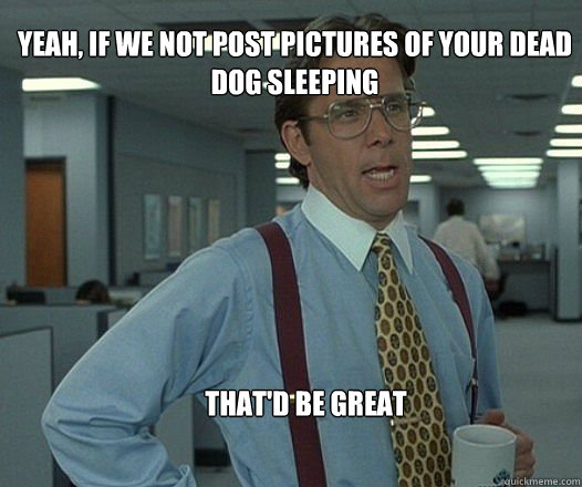 yeah if we not post pictures of your dead dog sleeping that - Scumbag boss