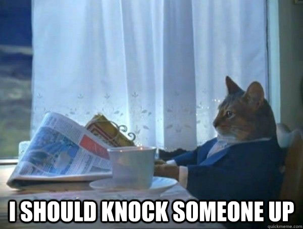 i should knock someone up - morning realization newspaper cat meme