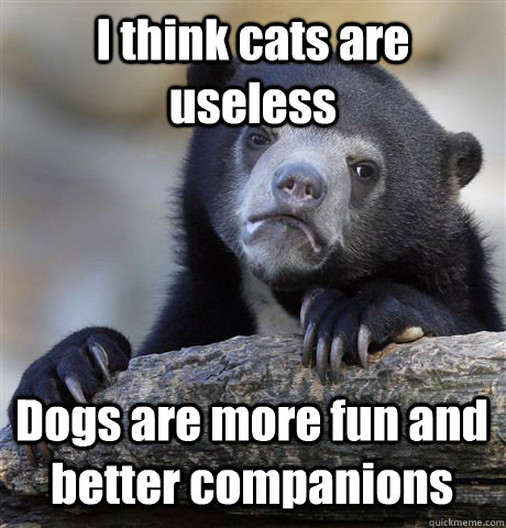 i think cats are useless dogs are more fun and better compan - Confession Bear