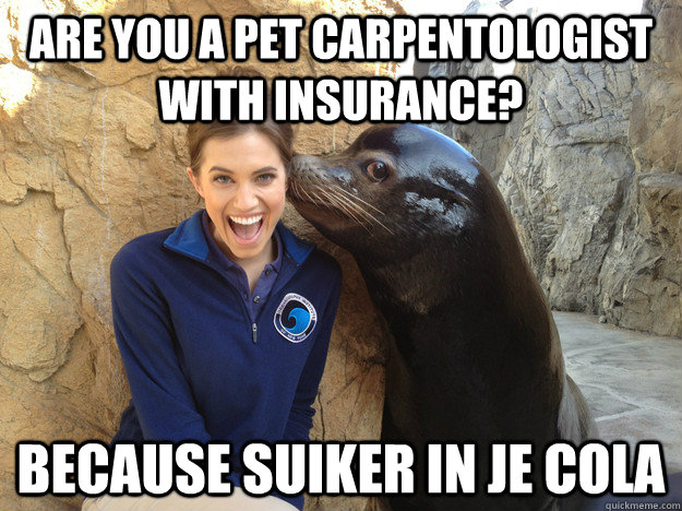 are you a pet carpentologist with insurance because suiker - Crazy Secret
