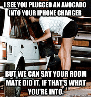 i see you plugged an avocado into your iphone charger but we - Karma Whore