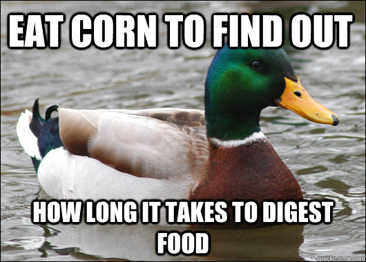 eat corn to find out how long it takes to digest food - Actual Advice Mallard