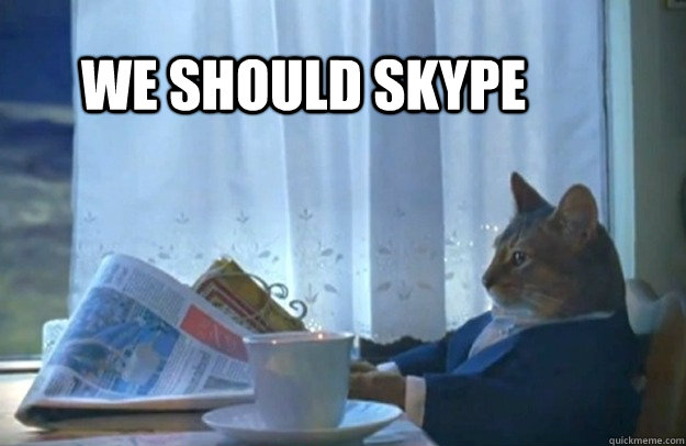 we should skype - Sophisticated Cat