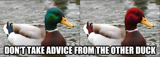 dont take advice from the other duck -