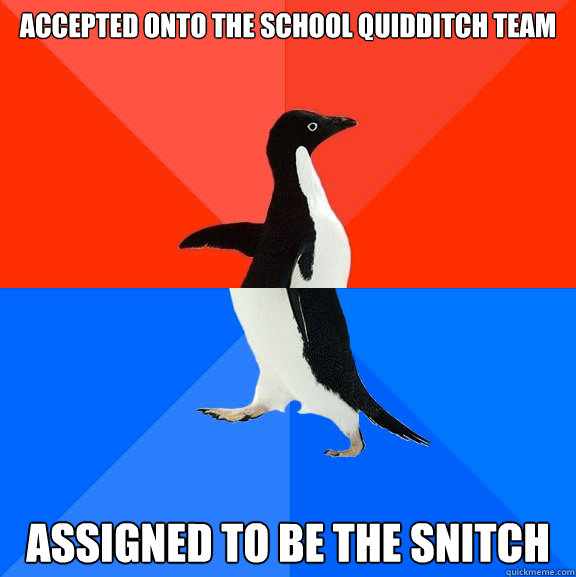 accepted onto the school quidditch team assigned to be the s - Socially Awesome Awkward Penguin