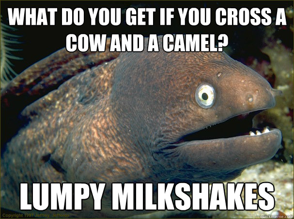 what do you get if you cross a cow and a camel lumpy milks - Bad Joke Eel