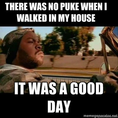 there was no puke when i walked in my house - ICECUBE