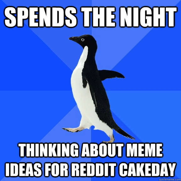 spends the night thinking about meme ideas for reddit cakeda - Socially Awkward Penguin