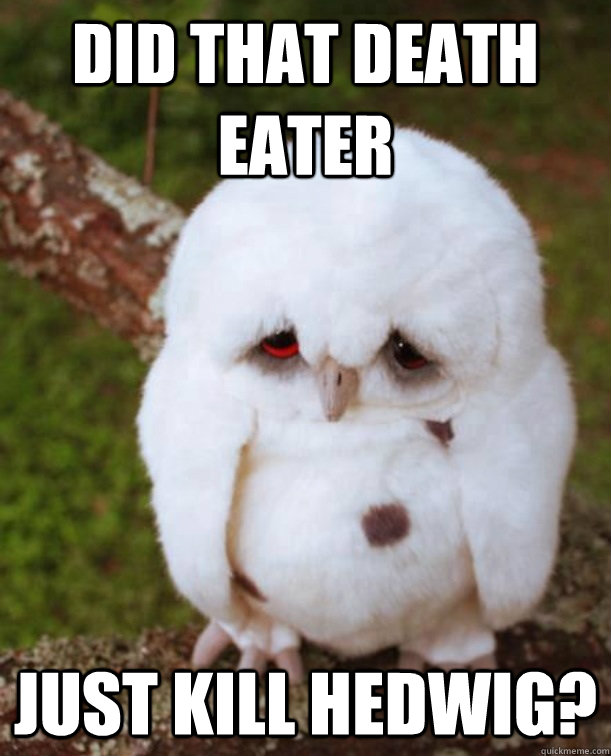 did that death eater just kill hedwig -