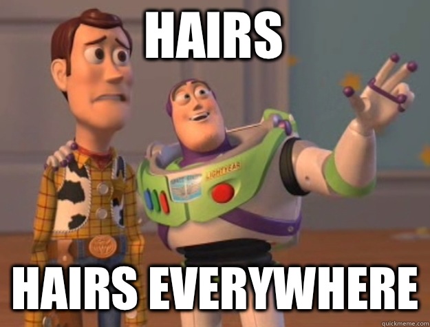 Hairs warmogs everywhere - toystory everywhere