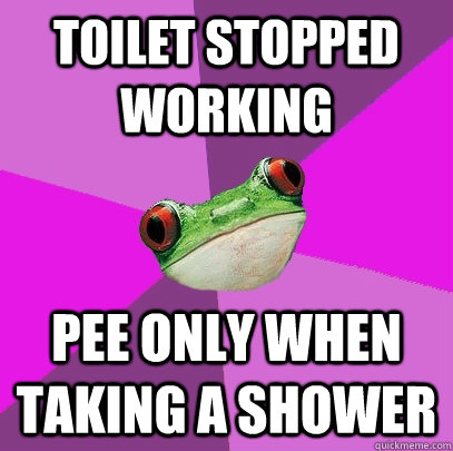 toilet stopped working pee only when taking a shower - Foul Bachelorette Frog