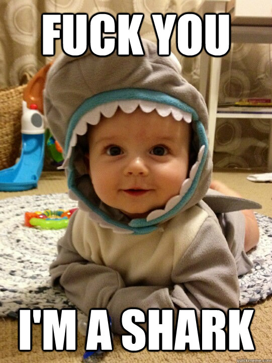 fuck you im a shark -