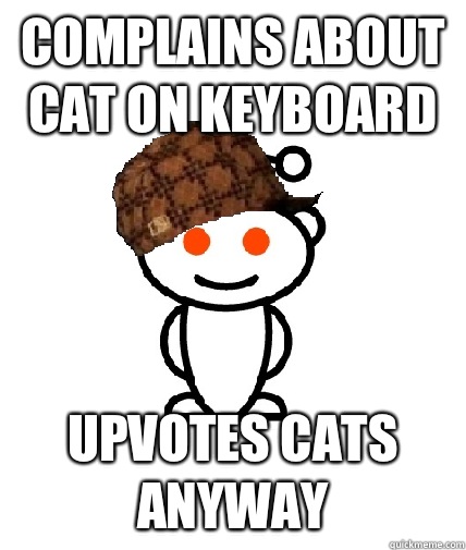 Complains about cat on keyboard Upvotes cats anyway - Scumbag Redditor