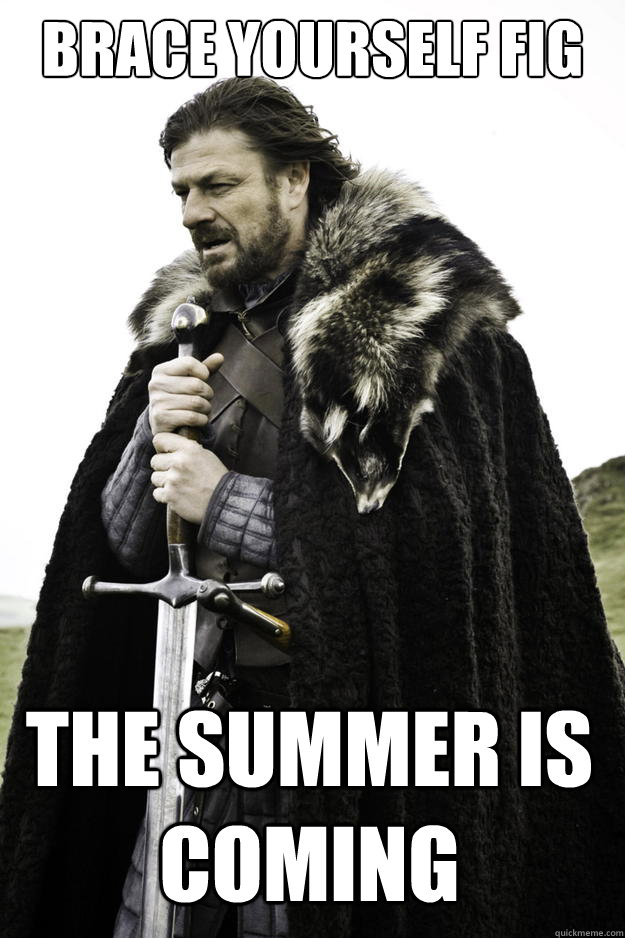 brace yourself fig the summer is coming - Winter is coming