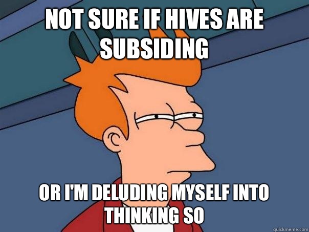 Not sure if hives are subsiding Or Im deluding myself into t - Futurama Fry