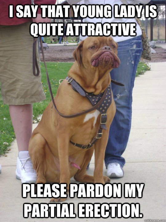i say that young lady is quite attractive please pardon my p - Shes a Bloody Bute