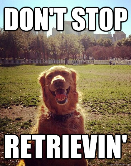 dont stop retrievin -