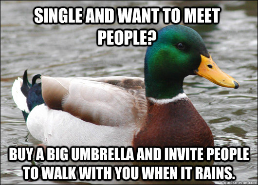 single and want to meet people buy a big umbrella and invit - Actual Advice Mallard