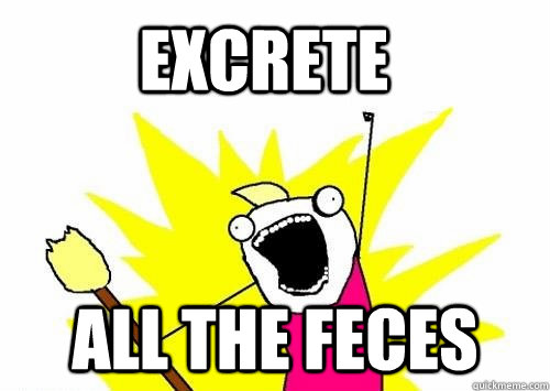 excrete all the feces - Do all the things