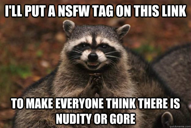 ill put a nsfw tag on this link to make everyone think ther - Evil Plotting Raccoon
