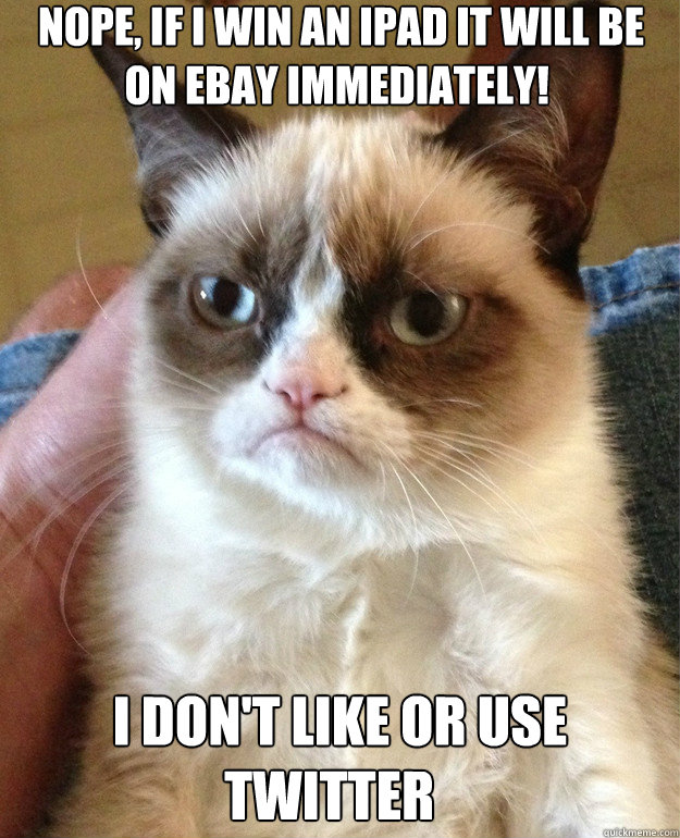 nope if i win an ipad it will be on ebay immediately i d - Grumpy Cat