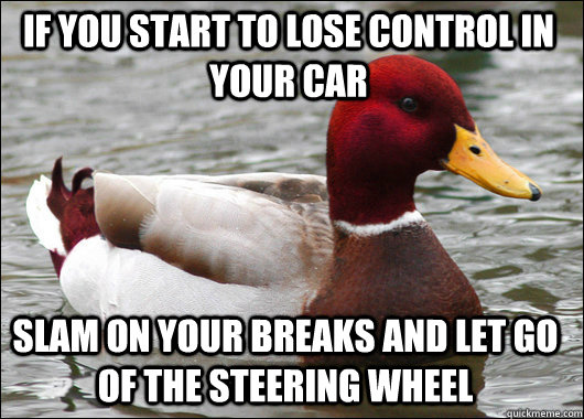 if you start to lose control in your car slam on your breaks - Malicious Advice Mallard