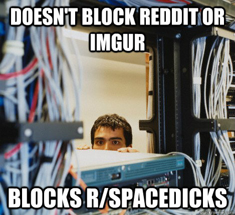 doesnt block reddit or imgur blocks rspacedicks - Good Guy IT Guy