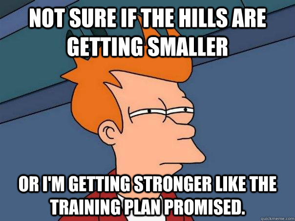 not sure if the hills are getting smaller or im getting str - Futurama Fry