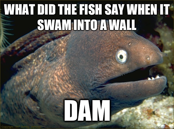 What did the fish say when it swam into a wall Dam - Bad Joke Eel