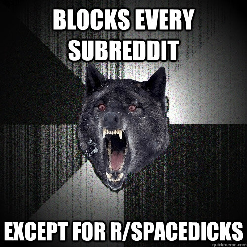 blocks every subreddit except for rspacedicks - Insanity Wolf