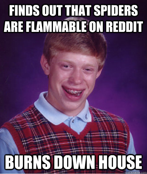 finds out that spiders are flammable on reddit burns down ho - Bad Luck Brian