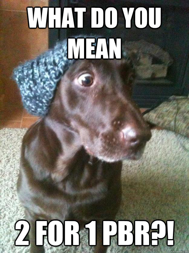 what do you mean 2 for 1 pbr - Excited Hipster Dog