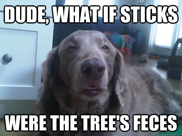 dude what if sticks were the trees feces - 10 Dog