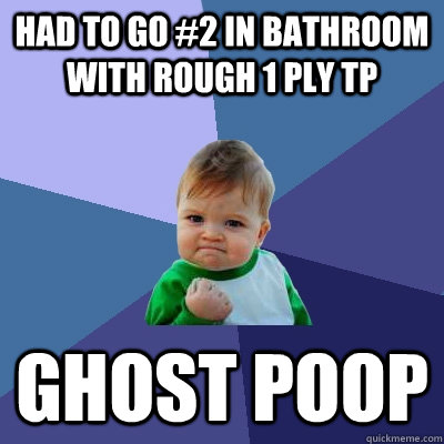 had to go 2 in bathroom with rough 1 ply tp ghost poop - Success Kid