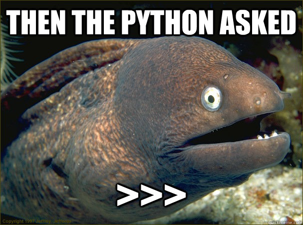 then the python asked - Bad Joke Eel