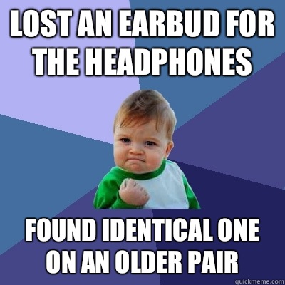 Lost an earbud for the headphones Found identical one on an  - Success Kid