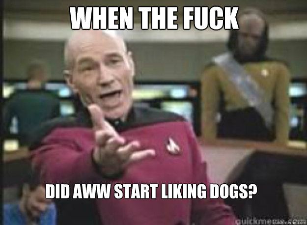 when the fuck did aww start liking dogs - What the Fuck