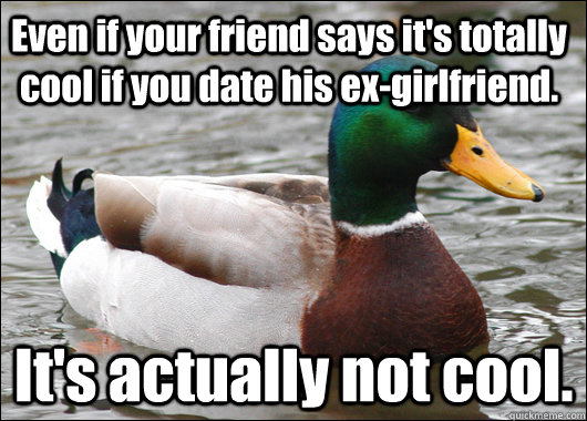 even if your friend says its totally cool if you date his e - Actual Advice Mallard