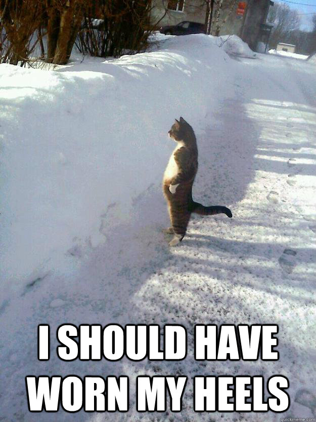 i should have worn my heels - 