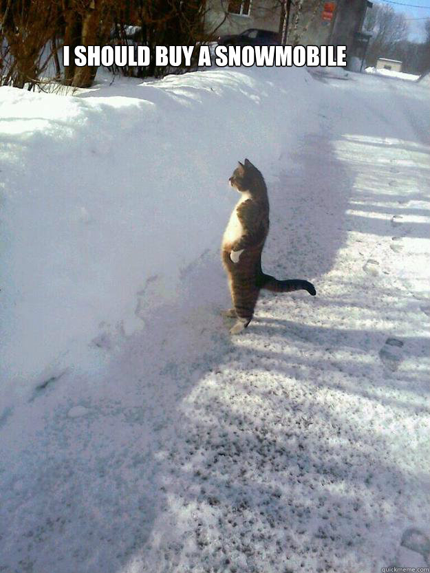 i should buy a snowmobile - Sophisticat