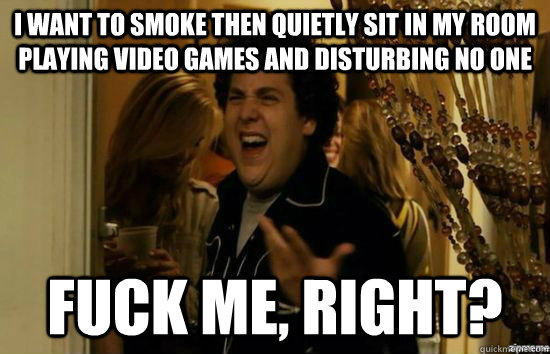 i want to smoke then quietly sit in my room playing video ga - fuckmeright