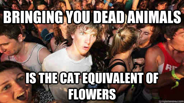 bringing you dead animals is the cat equivalent of flowers - Sudden Clarity Clarence