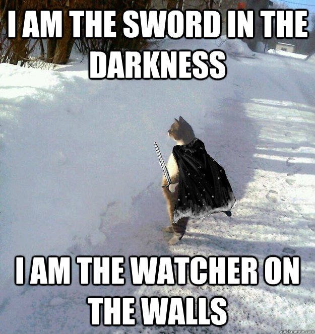 i am the sword in the darkness i am the watcher on the walls - Nights Watch Cat