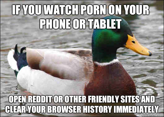 If you watch porn on your phone or tablet Open reddit or oth - Actual Advice Mallard